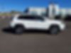 1C4PJMDN6KD165796-2019-jeep-cherokee-0