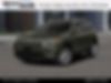 1C4PJMDXXMD205110-2021-jeep-cherokee-0