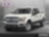 1FTEW1CP7JKF13450-2018-ford-f-150-0