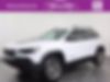 1C4PJMBX4LD562820-2020-jeep-cherokee