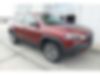1C4PJMBX7LD520187-2020-jeep-cherokee-0
