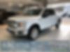 1FTEW1EP1JKE30304-2018-ford-f-150-0