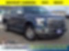 1FTEW1EP8GFA14798-2016-ford-f-150-0