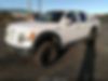 1FTFW1ET0BFD14636-2011-ford-f-150-1