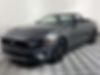 1FATP8UH0K5160818-2019-ford-mustang-0