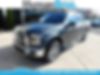 1FTEW1EF4GFC62277-2016-ford-f-series-0