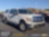 1FTEW1E82AFB34077-2010-ford-f-150-0