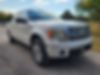 1FTFW1ET3BFD10113-2011-ford-f-150-2
