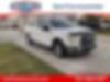1FTEW1CP8GKF90725-2016-ford-f-150