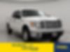 1FTEW1C81AFB03163-2010-ford-f-150-0