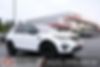 SALCP2FX4KH795141-2019-land-rover-discovery-sport-0
