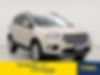 1FMCU0GD1JUD16894-2018-ford-escape-0