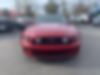 1ZVBP8FF6E5323913-2014-ford-mustang-1