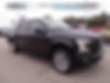 1FTEW1EP0HFA79307-2017-ford-f-150-0