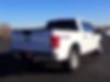 1FTEW1EF6GFC08477-2016-ford-f-150-2