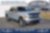 1FTFW1ET4DKF83782-2013-ford-f-150-0