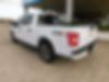 1FTEW1CPXKKD12028-2019-ford-f-150-2