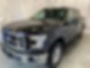 1FTEW1E81FFB02485-2015-ford-f-150-2