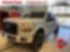 1FTEW1EF5GFC90654-2016-ford-f-150-0