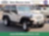 1J4GA2D1XAL145325-2010-jeep-wrangler
