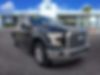 1FTEW1C80HFA89296-2017-ford-f-150-0