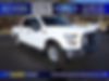 1FTEW1CF3GFB27827-2016-ford-f-150-0