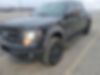1FTFW1ET3DFB24462-2013-ford-f-150-0
