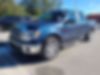 1FTFW1CT2DFD31296-2013-ford-f-150-0