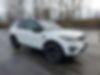 SALCP2FX4KH795141-2019-land-rover-discovery-sport-1
