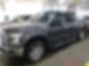 1FTEW1EPXGFA01390-2016-ford-f-150-0