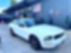 1ZVHT80N055249720-2005-ford-mustang-0