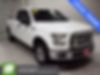 1FTEX1EP1FFD08958-2015-ford-f-150-0