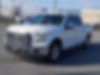 1FTEW1C84HFA75496-2017-ford-f-150-2