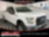 1FTEW1EP9GFC91556-2016-ford-f-150-0