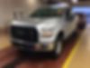 1FTEX1EP6HFA43473-2017-ford-f-150-0