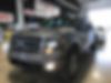 1FTFW1ETXDFC48728-2013-ford-f-150-0