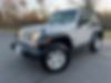 1J4AA2D1XAL187662-2010-jeep-wrangler-2