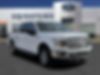 1FTEW1EP1KFA11105-2019-ford-f-150-0