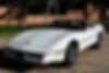1G1YY3181K5116209-1989-chevrolet-corvette-0
