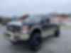 1FTSW21R79EA11450-2009-ford-f-250-2