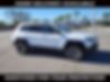 1C4PJMBX1MD218959-2021-jeep-cherokee-0
