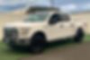 1FTEW1EP8HKE22761-2017-ford-f-150
