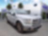 1FTEW1CG6GKF30104-2016-ford-f-150-0