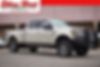 1FT7W2BT5HEB74032-2017-ford-f-250