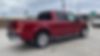 1FTEW1CP2GFA13990-2016-ford-f-150-2