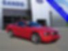 1ZVHT82H385157030-2008-ford-mustang