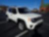 ZACNJAABXLPL00343-2020-jeep-renegade-0