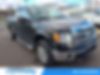 1FTFX1EFXDKD22597-2013-ford-f-150-0