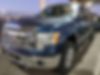 1FTFW1ET1DKD09018-2013-ford-f-150-0