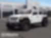 1C4JJXFG5MW838302-2021-jeep-wrangler-unlimited-0